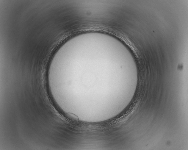 X0000116510585201001201447