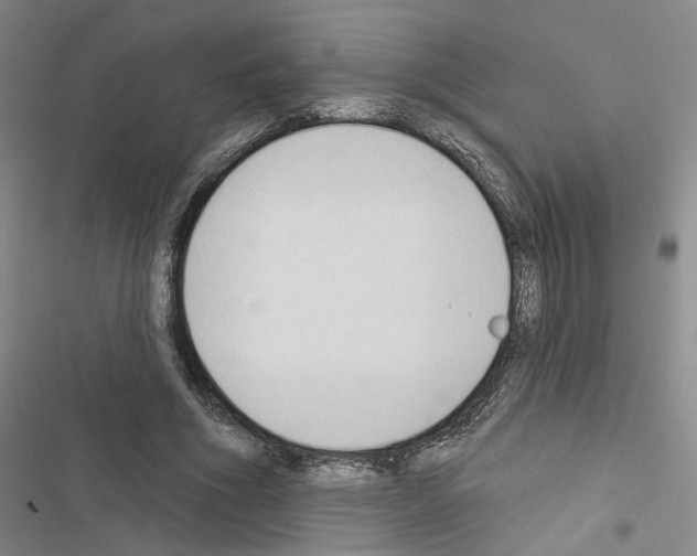 X0000116510586201001201447