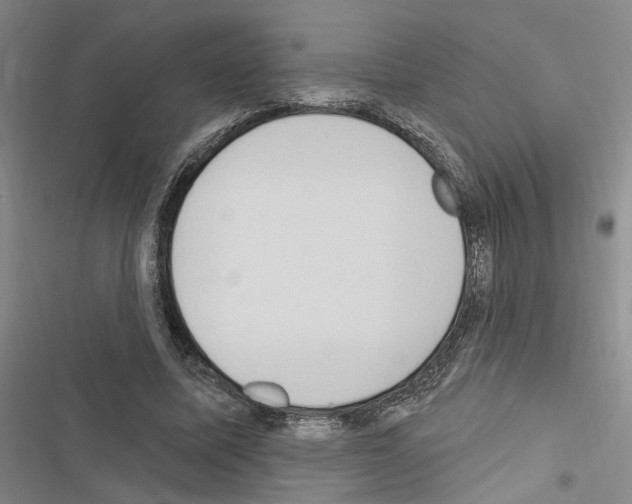 X0000116510587201001201447