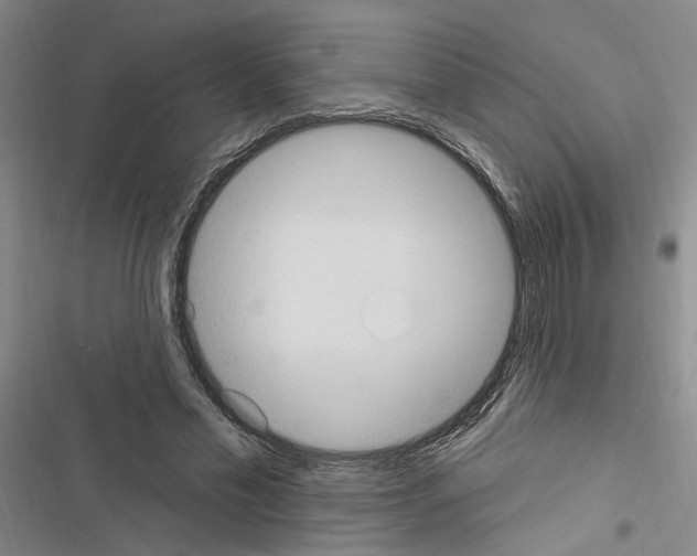 X0000116510589201001201447
