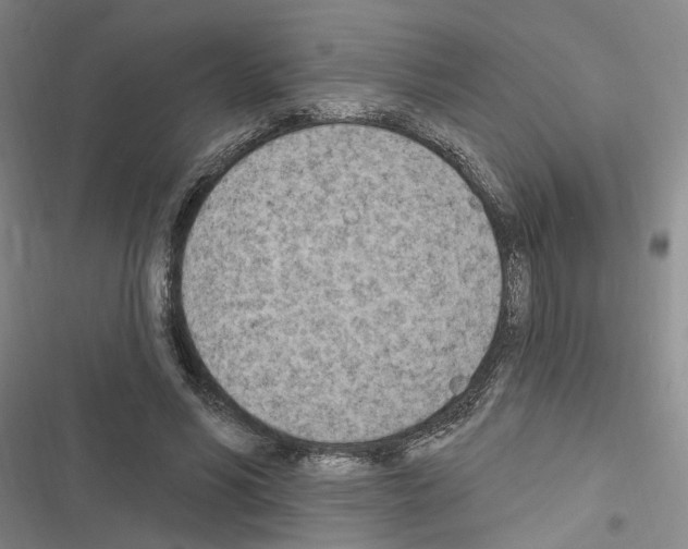 X0000116510590201001201447