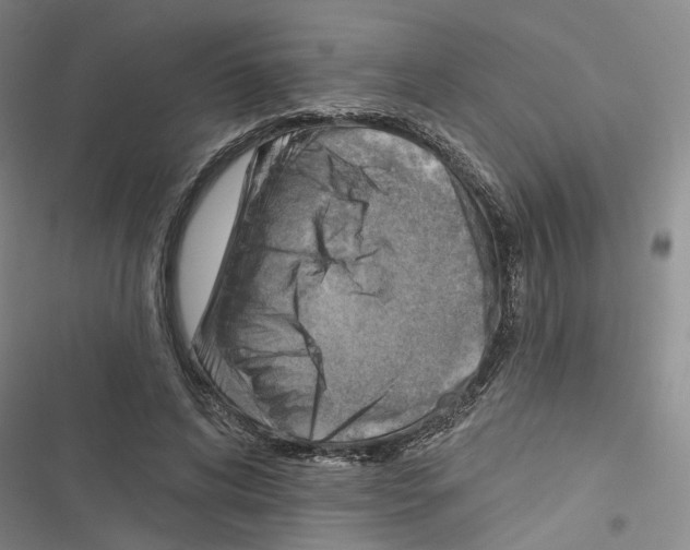 X0000116510592201001201447
