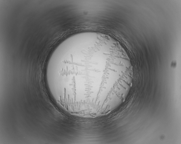 X0000116510593201001201447