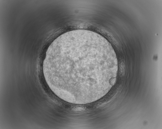 X0000116510594201001201447
