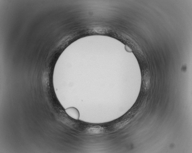 X0000116510595201001201447