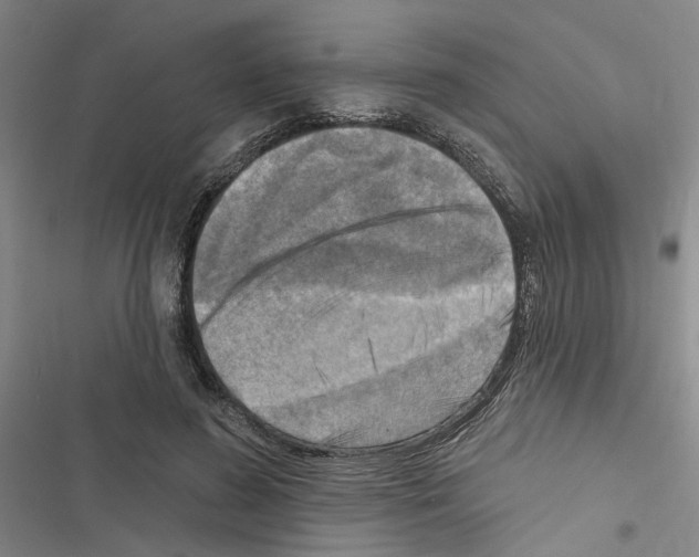 X0000116510596201001201447