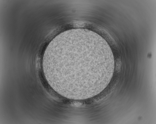 X0000116510598201001201447