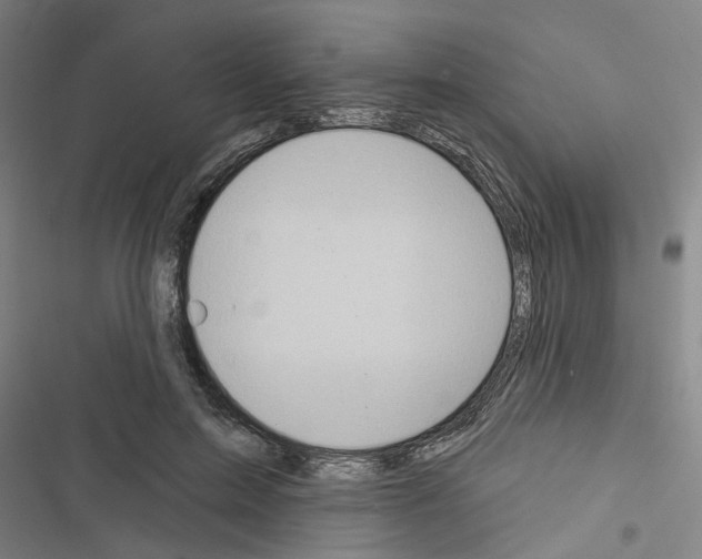 X0000116510599201001201447