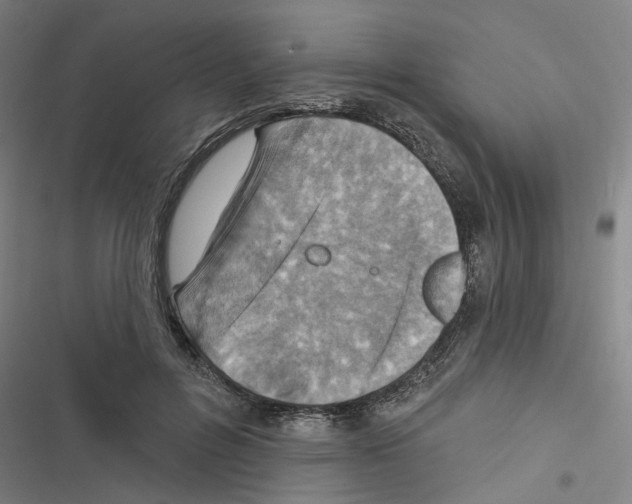 X0000116510600201001201447