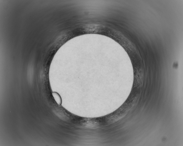 X0000116510601201001201447