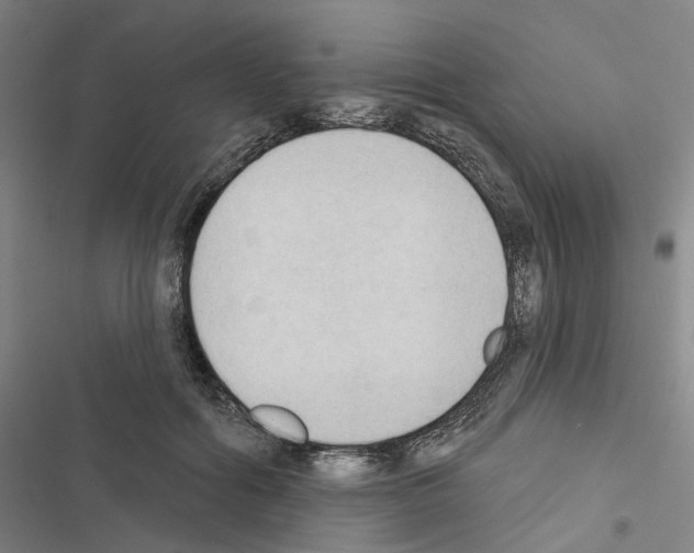 X0000116510602201001201447