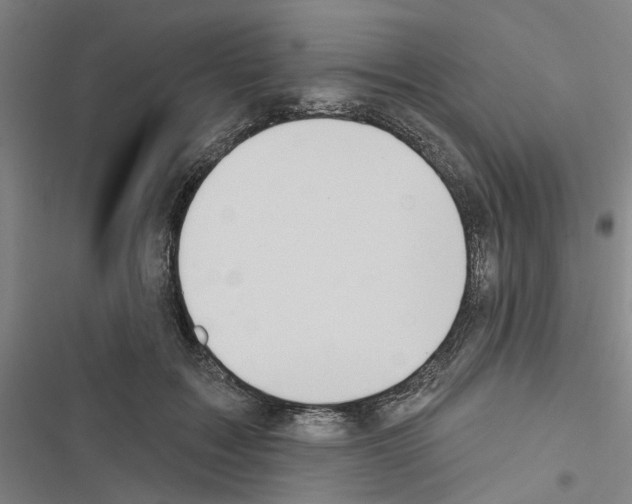 X0000116510603201001201446