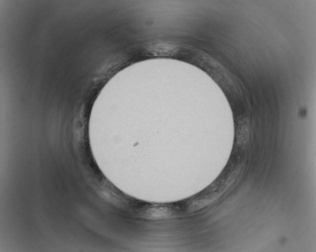 X0000116510604201001201446