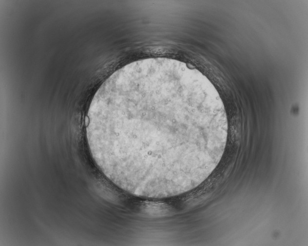 X0000116510605201001201446