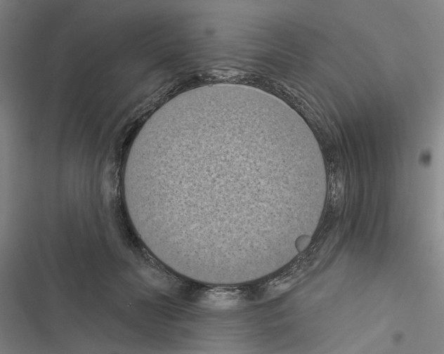 X0000116510606201001201446