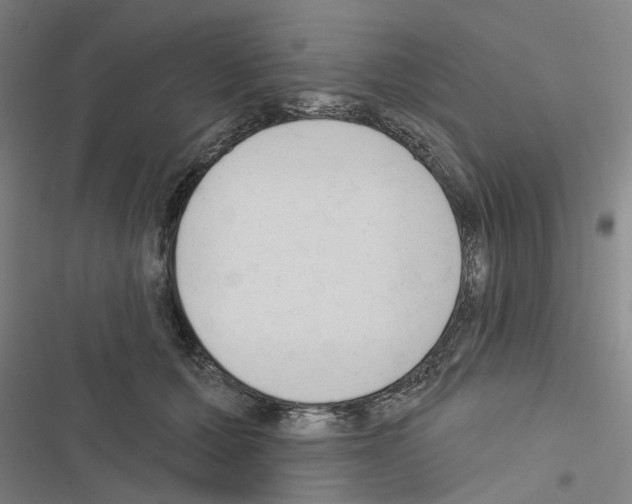 X0000116510607201001201446