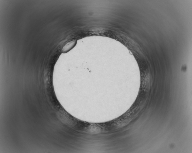 X0000116510608201001201446