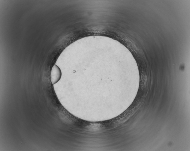 X0000116510609201001201446
