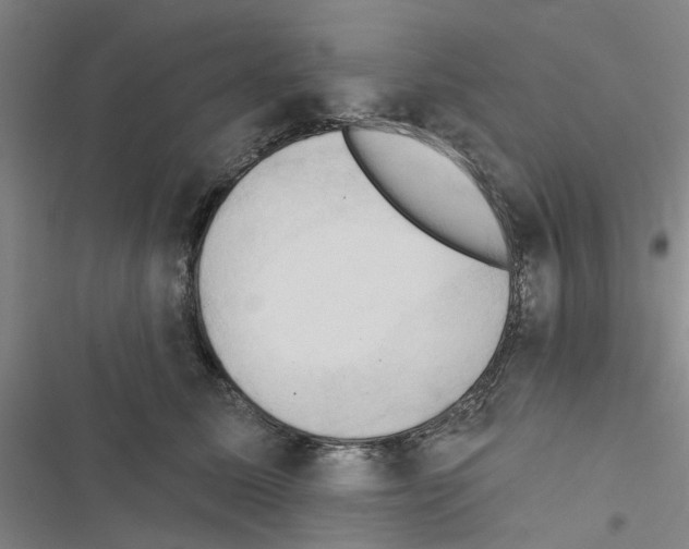X0000116510611201001201446