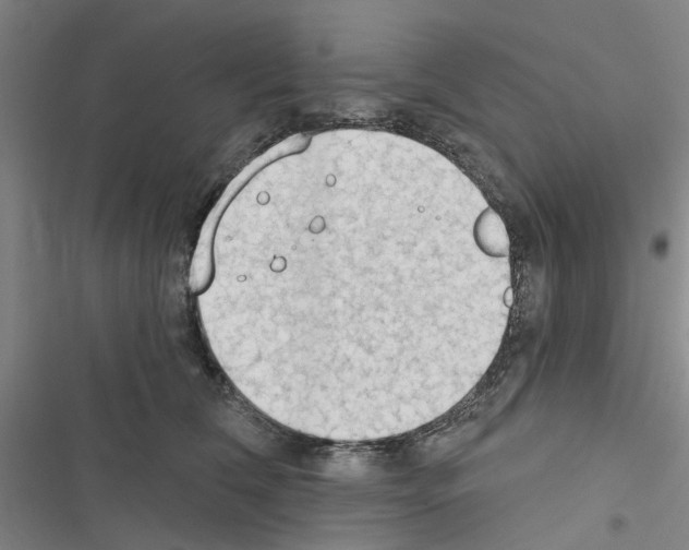 X0000116510612201001201446