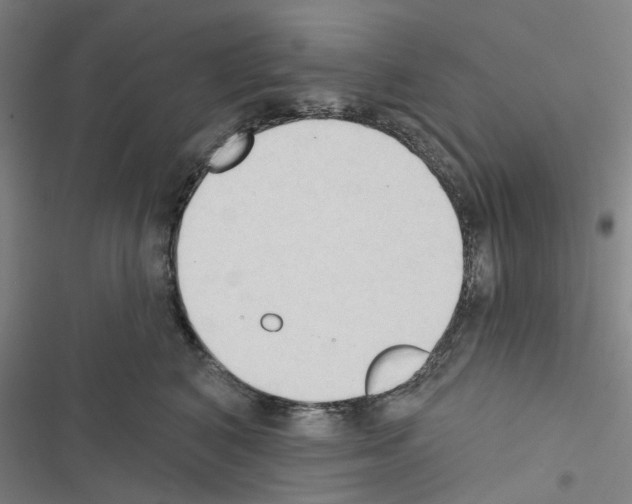 X0000116510616201001201446