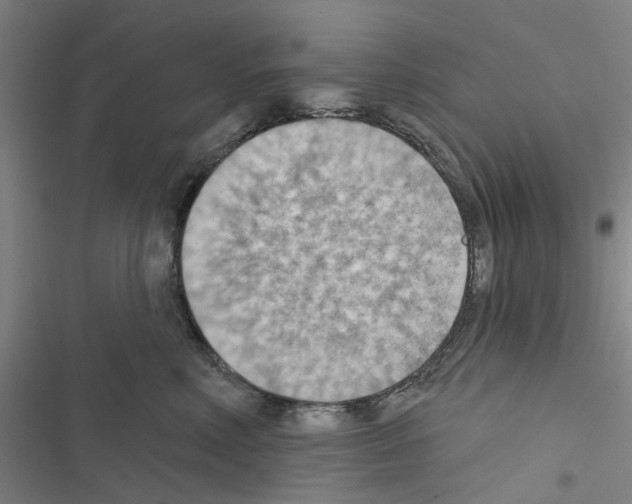 X0000116510618201001201446