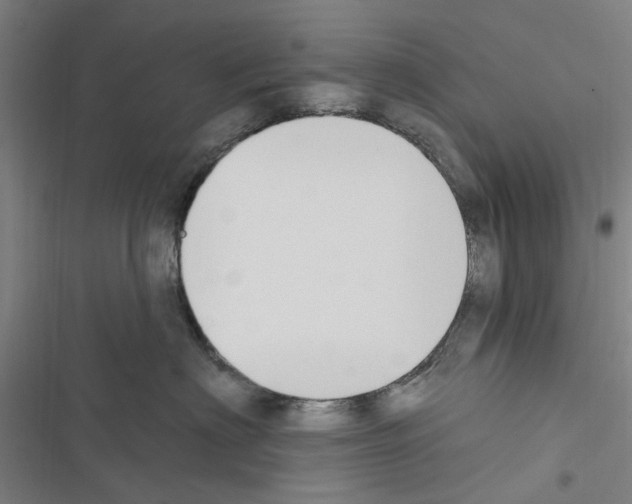 X0000116510622201001201446