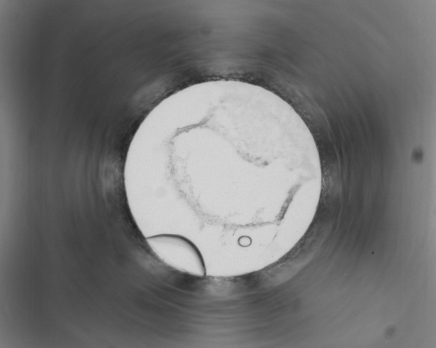 X0000116510623201001201446