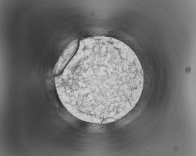 X0000116510624201001201446