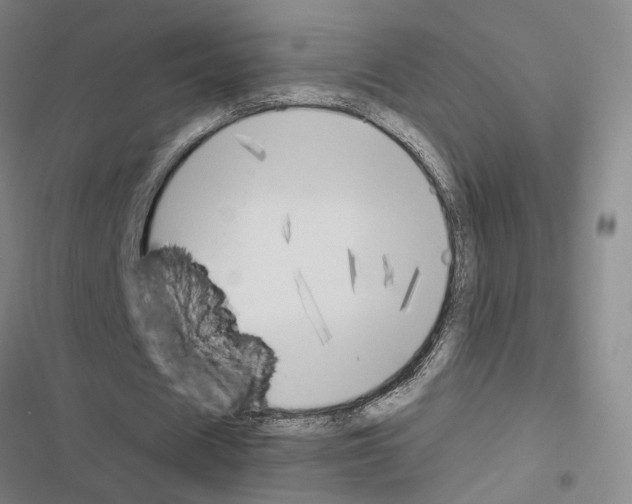 X0000116510625201001201446