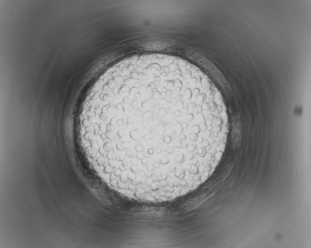 X0000116510626201001201446