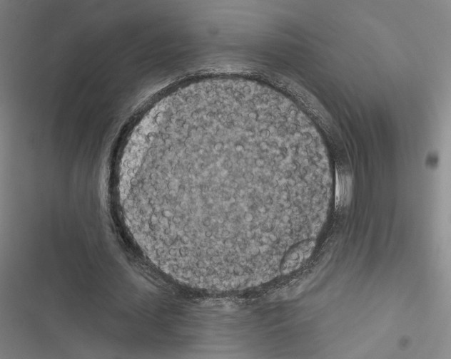 X0000116510627201001201446