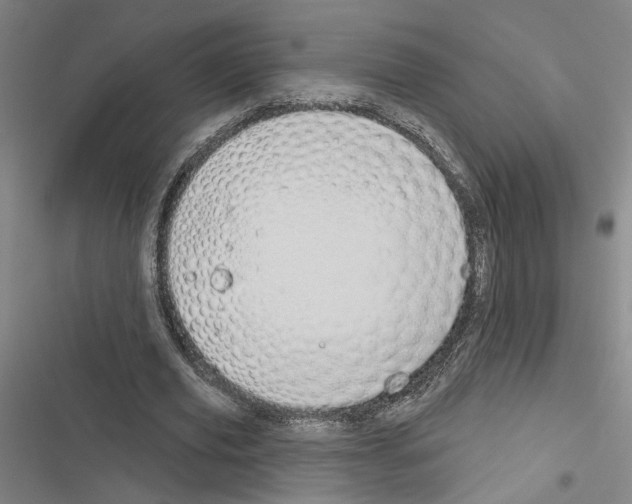 X0000116510629201001201446