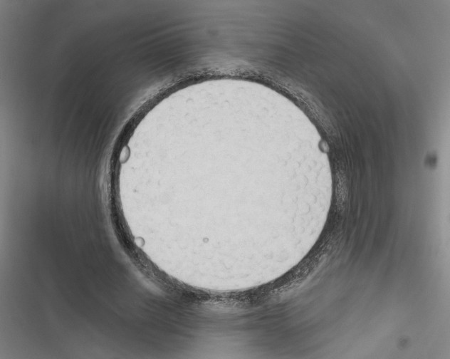 X0000116510630201001201446
