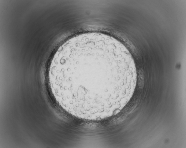 X0000116510631201001201446
