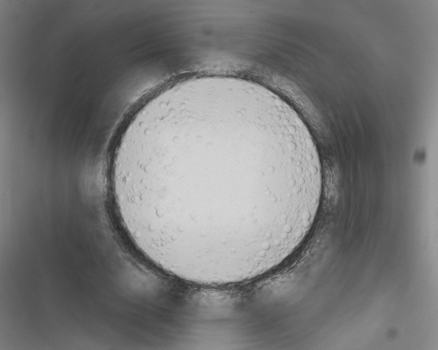 X0000116510632201001201446