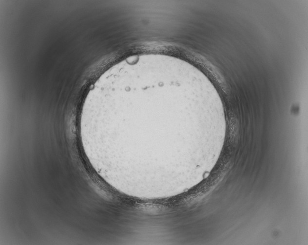 X0000116510633201001201446