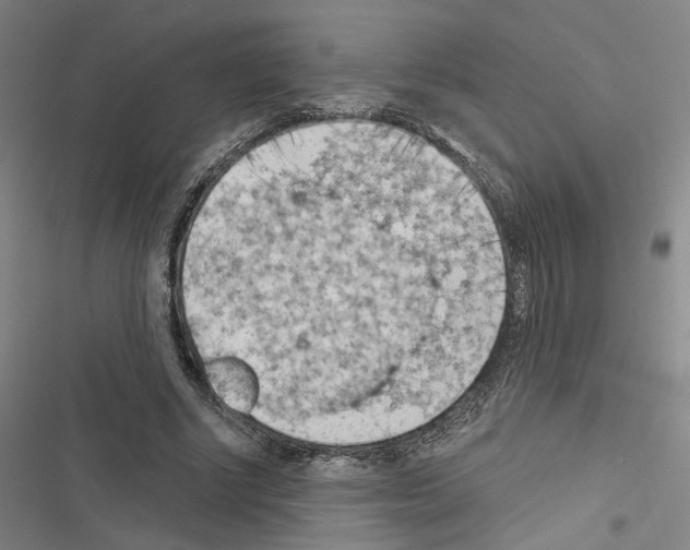 X0000116510634201001201446