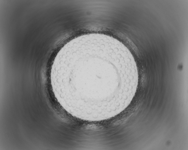 X0000116510635201001201446