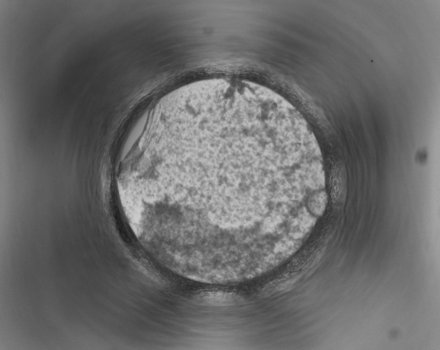 X0000116510637201001201446