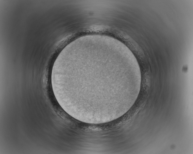 X0000116510640201001201446