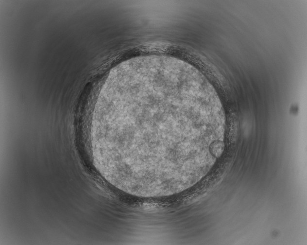 X0000116510641201001201446