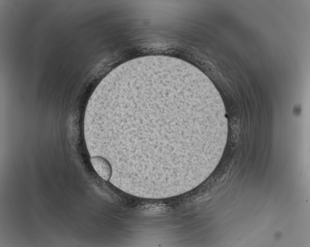 X0000116510642201001201446