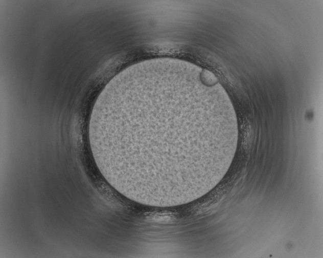 X0000116510643201001201446