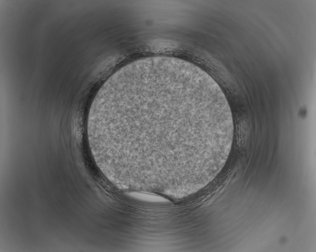 X0000116510644201001201446