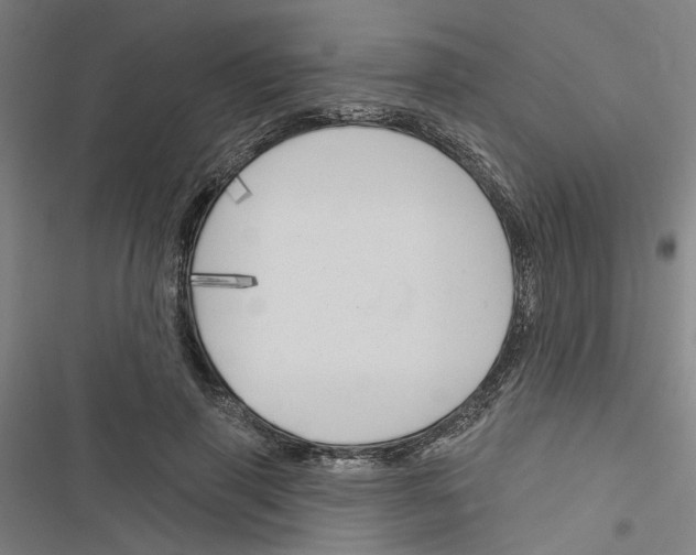 X0000116510645201001201446