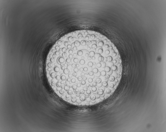 X0000116510646201001201446