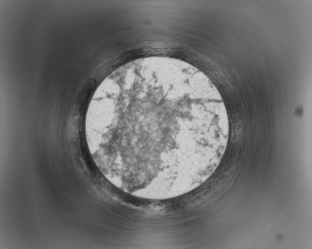X0000116510647201001201446