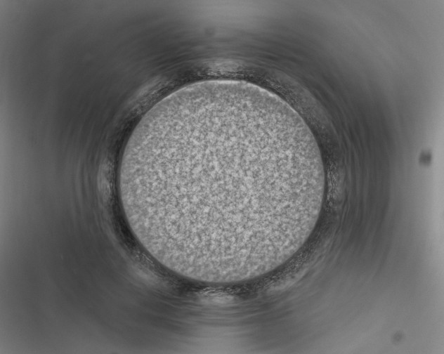 X0000116510648201001201446