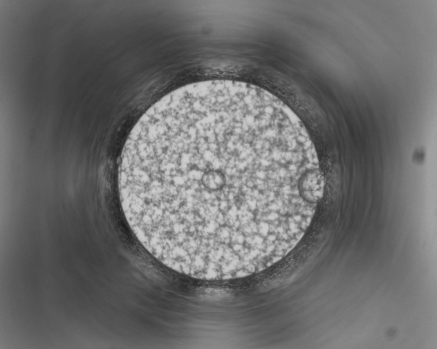 X0000116510649201001201446